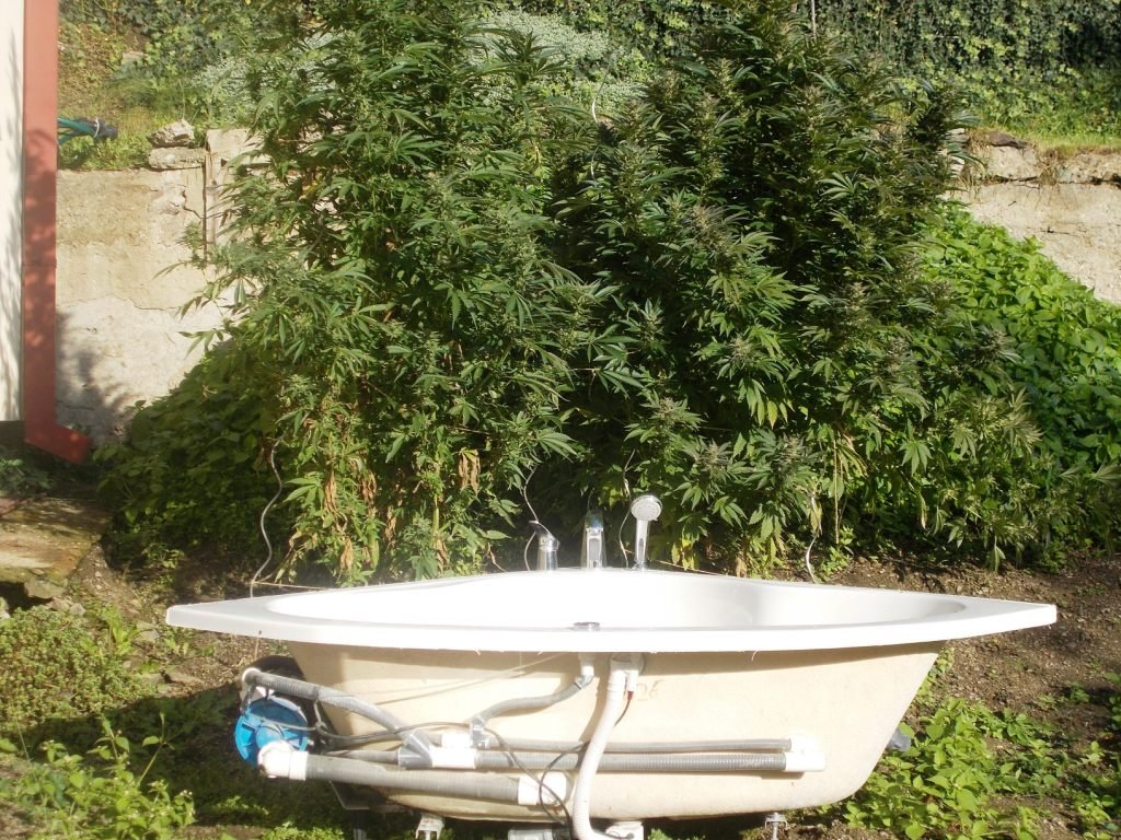 dscn2479.jpg